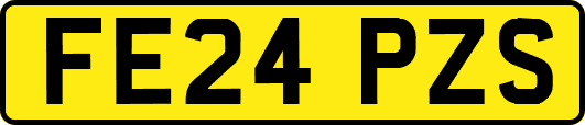FE24PZS