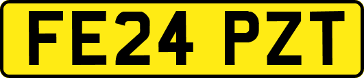 FE24PZT