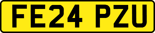 FE24PZU