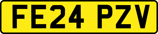 FE24PZV