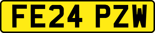 FE24PZW