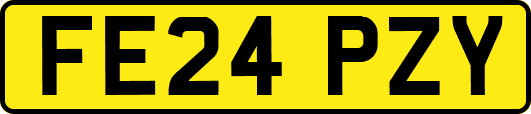 FE24PZY