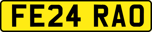 FE24RAO