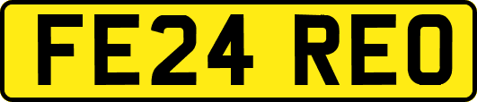FE24REO