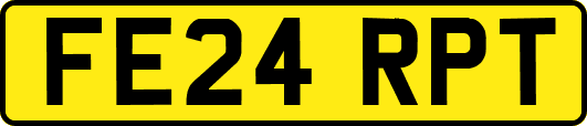 FE24RPT