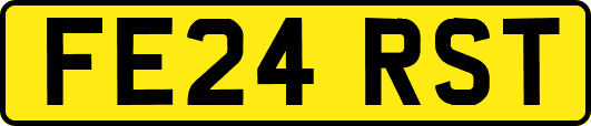 FE24RST