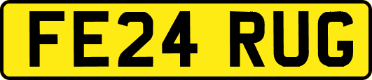 FE24RUG