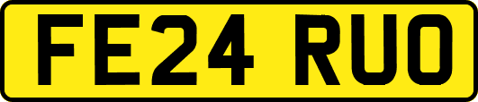 FE24RUO