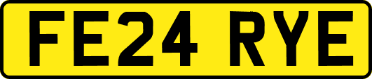 FE24RYE