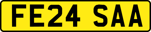 FE24SAA