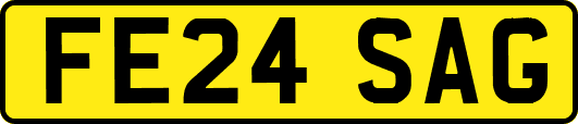FE24SAG