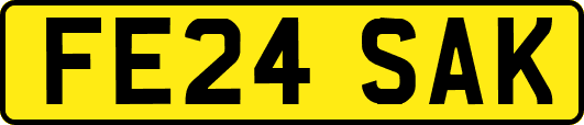 FE24SAK