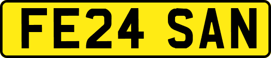 FE24SAN