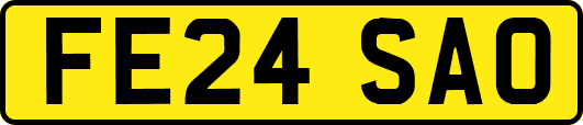 FE24SAO