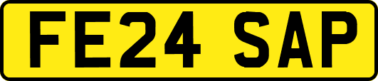 FE24SAP
