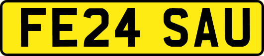FE24SAU