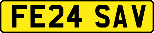FE24SAV