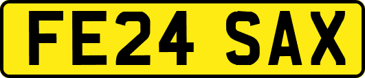 FE24SAX