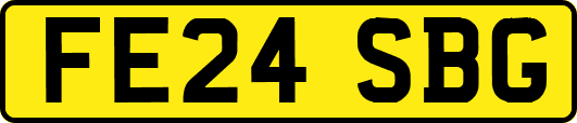 FE24SBG