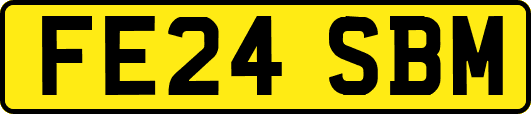 FE24SBM