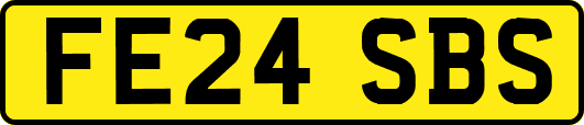FE24SBS