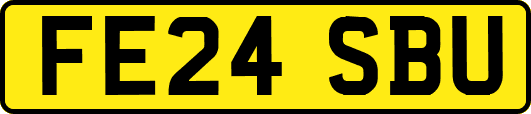 FE24SBU