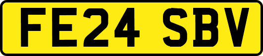 FE24SBV