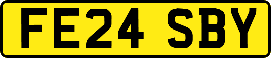 FE24SBY