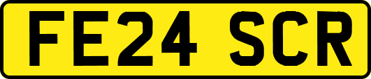 FE24SCR