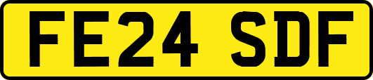FE24SDF