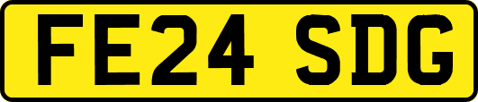 FE24SDG