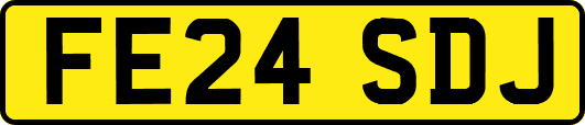 FE24SDJ