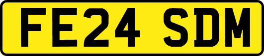 FE24SDM