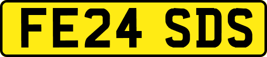 FE24SDS
