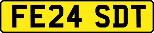 FE24SDT