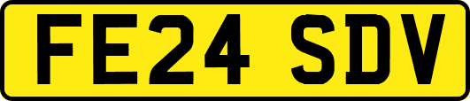 FE24SDV