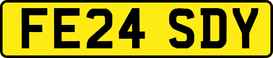 FE24SDY