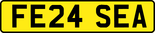 FE24SEA