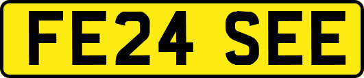 FE24SEE