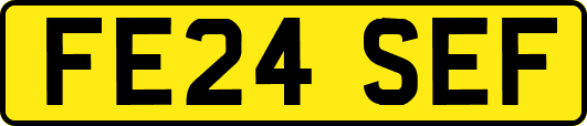 FE24SEF