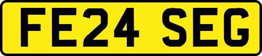 FE24SEG
