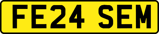 FE24SEM
