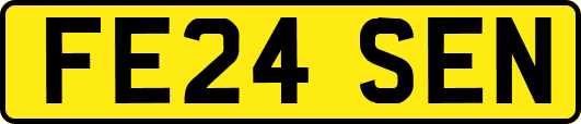 FE24SEN