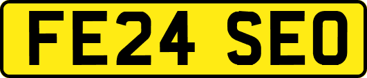 FE24SEO