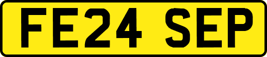 FE24SEP