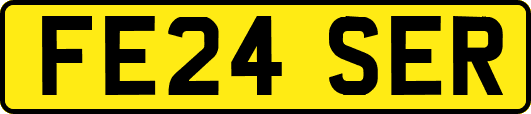 FE24SER