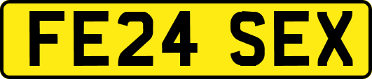 FE24SEX
