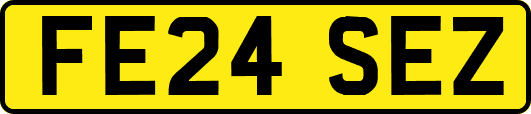 FE24SEZ