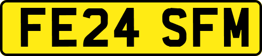 FE24SFM