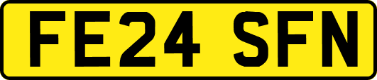 FE24SFN